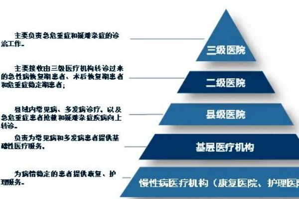 分级诊疗制度-三个皮匠报告百科