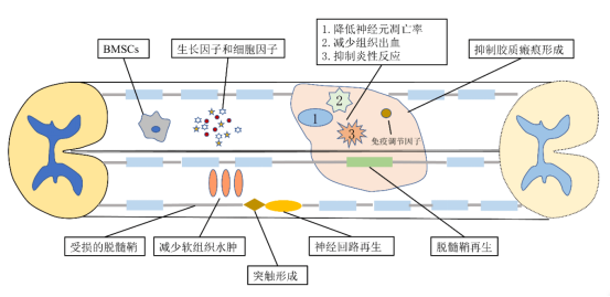 1739323513350379.png image.png