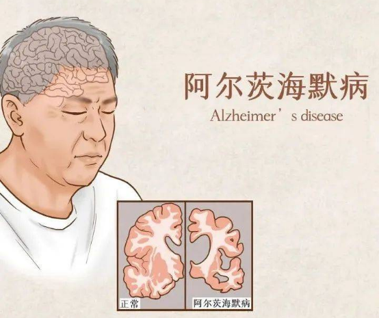 1739323869787695.png image.png