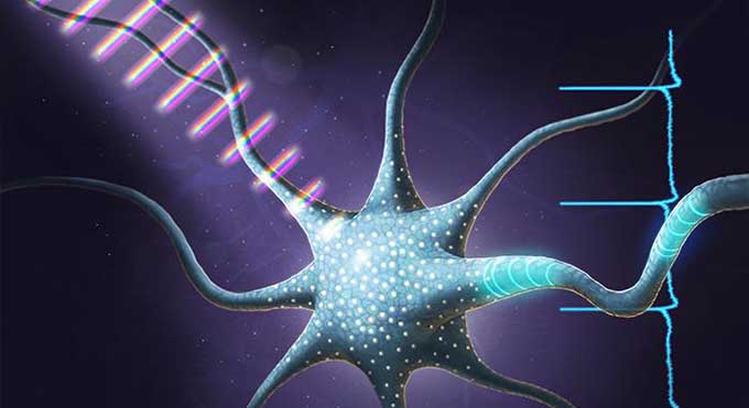 基因治疗+光遗传治疗视网膜色素变性-GenSight发布关于GS030临床III期试验的积极安全性数据-和元生物