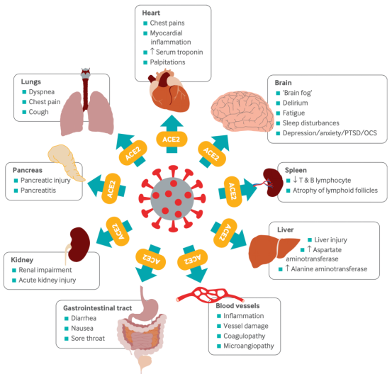 1739412124172130.png image.png