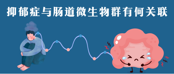 1739498992247115.png image.png