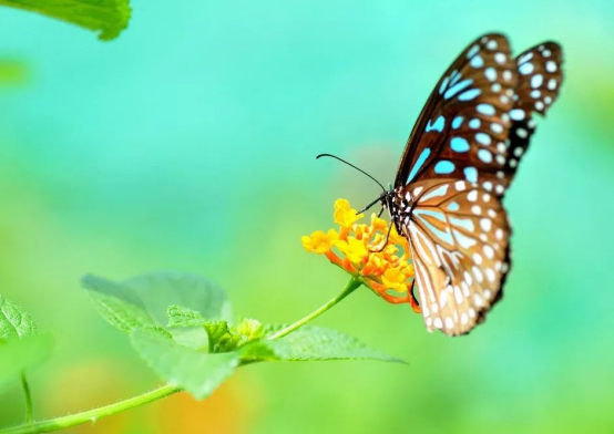 1740102248155646.png image.png