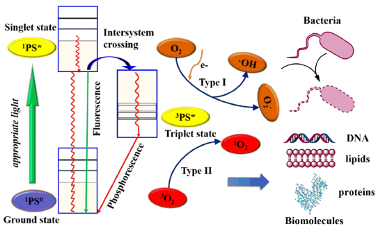 光动力疗法 光动力疗法
