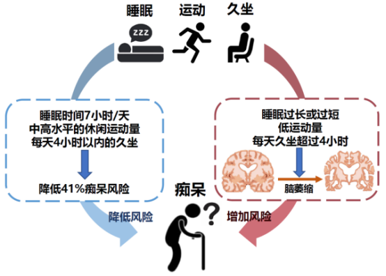 睡眠质量与阿尔茨海默病 睡眠质量与阿尔茨海默病