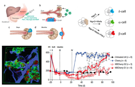 1740193070827931.png image.png