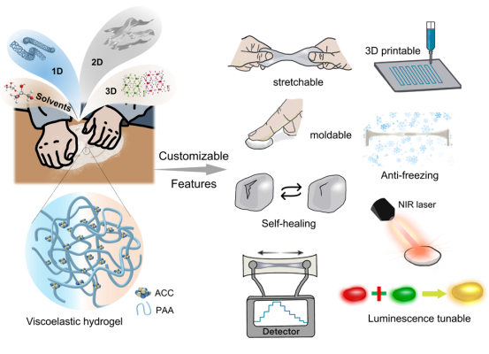 1740202504895416.png image.png