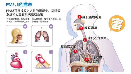 PM2.5对儿童健康的隐秘威胁 PM2.5对儿童健康的隐秘威胁