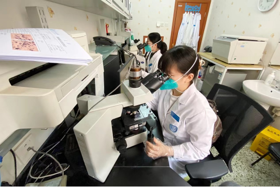 罕见病早期诊断率将显著提高 罕见病早期诊断率将显著提高