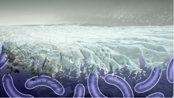 北极冰川融化,远古病毒重现人间1 北极冰川融化,远古病毒重现人间1