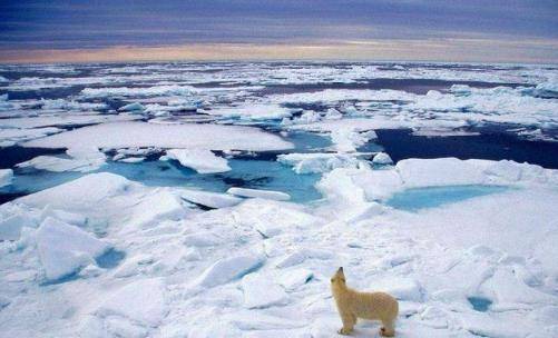 科学探索的未来充满无限可能 科学探索的未来充满无限可能