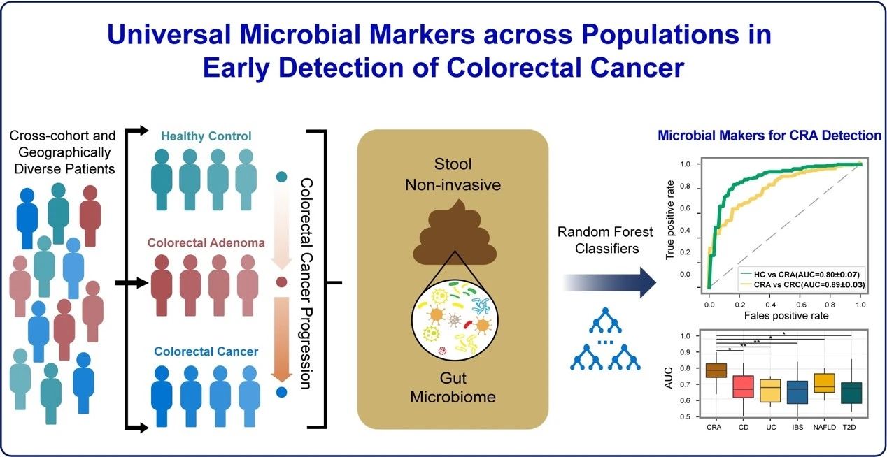 能马桶技术 能马桶技术