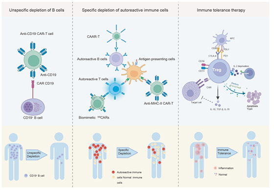 细胞治疗技术在临床中的应用与广阔前景 细胞治疗技术在临床中的应用与广阔前景