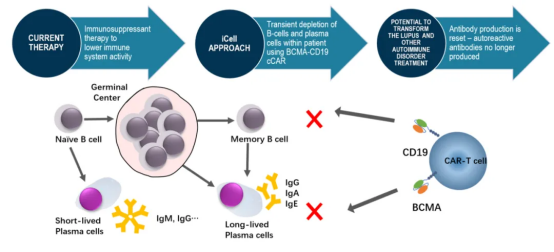 1740706147279701.png image.png