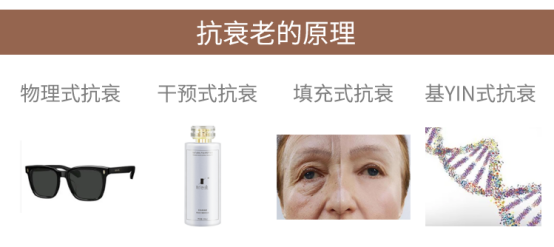 抗衰老的原理 抗衰老的原理