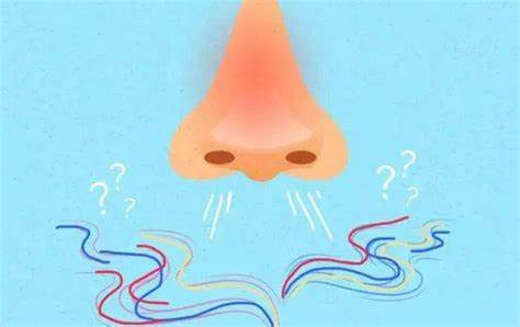 鼻子闻不到味道了怎么办