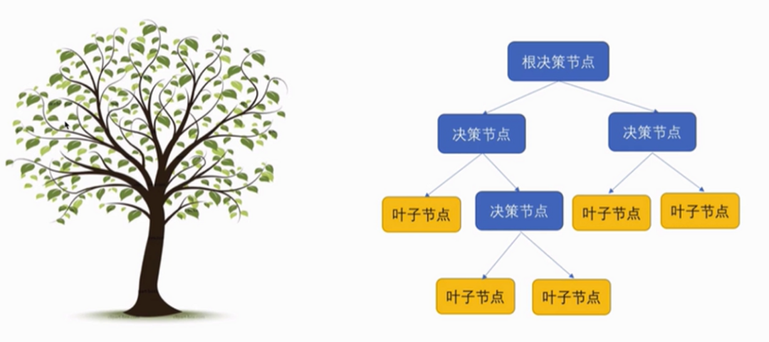 id3决策树 鸢尾花 python_决策树算法——集成学的基础!-CSDN博客