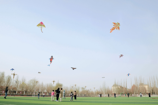 让青春在真实世界翱翔 让青春在真实世界翱翔