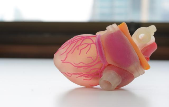 3D打印心脏 3D打印心脏