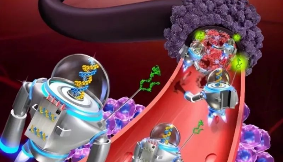 1427952836287753.png 1427952836287753.png