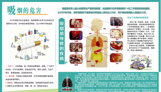 2342969858693533.png 2342969858693533.png