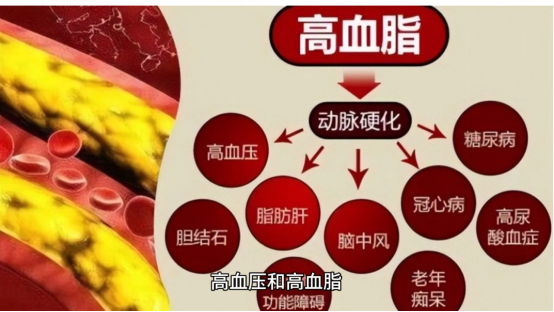 4569038609572229.png 4569038609572229.png