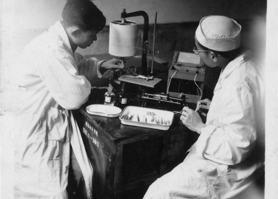 1233045193743086.png 1233045193743086.png