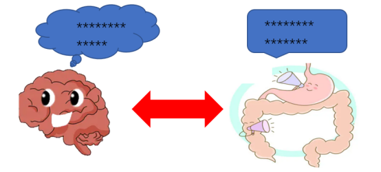 大脑与肠道通过神经、血液、免疫信号连接