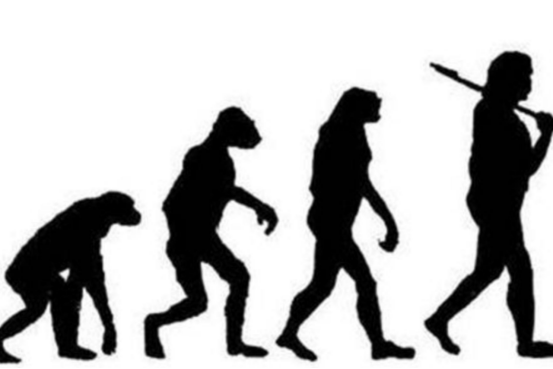 高亮“人类进化”“基因特权”“技术失控”