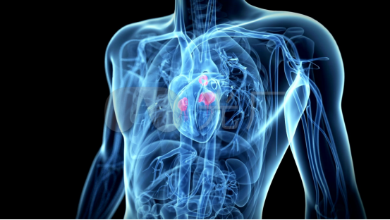 智能瓣膜工作原理