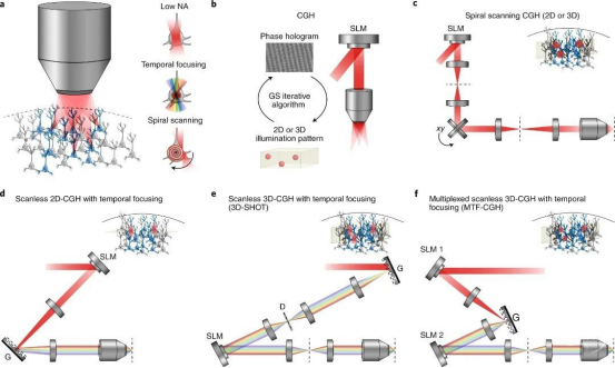 光遗传学操作流程动态图