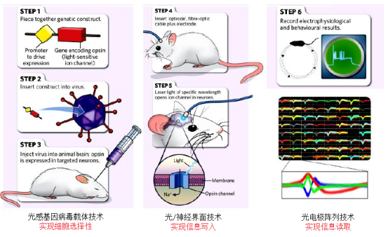 光遗传学治疗帕金森