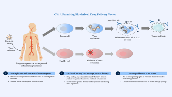 全球在研溶瘤病毒药物