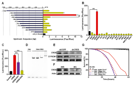 抗药性形成因素关联图