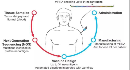 个体化癌症疫苗