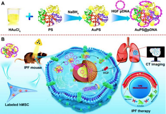 纳米粒子治疗国内进展