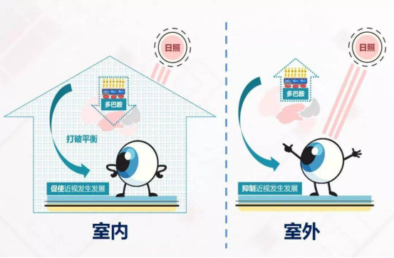 户外光照时长、近视防控政策
