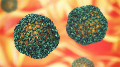 裂谷热传播途径、跨境疫情溯源