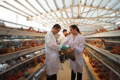 跨境动物免疫、区域协同防控