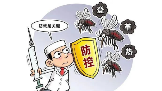 登革热家庭防护、疫区生存指南