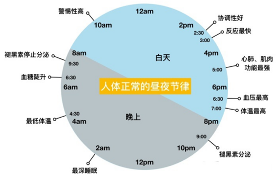 一天的血糖变化