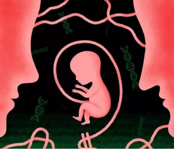 生物安全委员会激烈讨论场景，基因编辑婴儿旧闻剪报墙