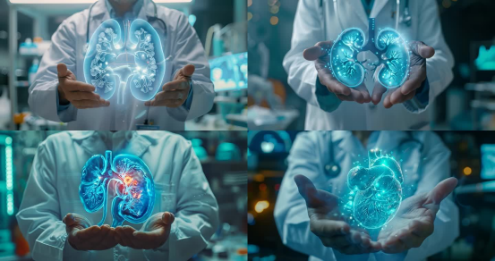 智能肾脏概念设计图，肾脏功能扩展场景插画