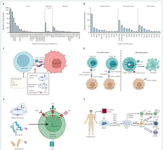 CAR-T细胞攻击胃癌细胞动态模拟