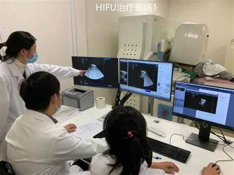 聚焦超声设备治疗过程三维示意图