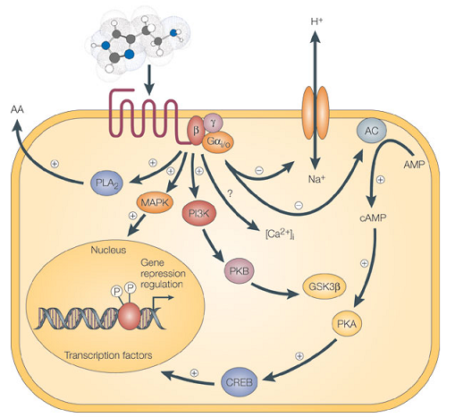 环境激素攻击生殖细胞动态示意图