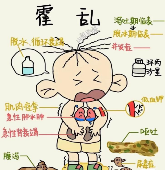 霍乱防控生态系统示意图