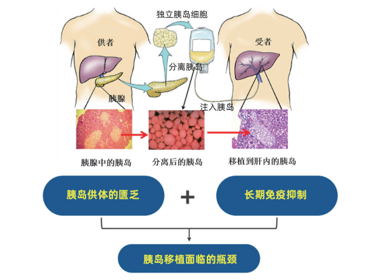 1744876070973597.png image.png