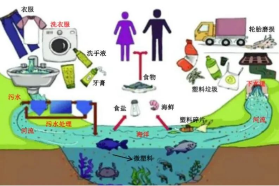 微塑料人体入侵路径动态示意图