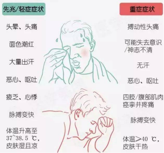 热射病病理进程动态示意图 热射病病理进程动态示意图